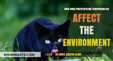 Polyethylene Terephthalate's Environmental Impact: Pollution, Recycling, and Sustainability Challenges