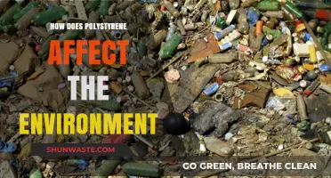 Polystyrene's Environmental Impact: Pollution, Wildlife Threats, and Sustainability Challenges