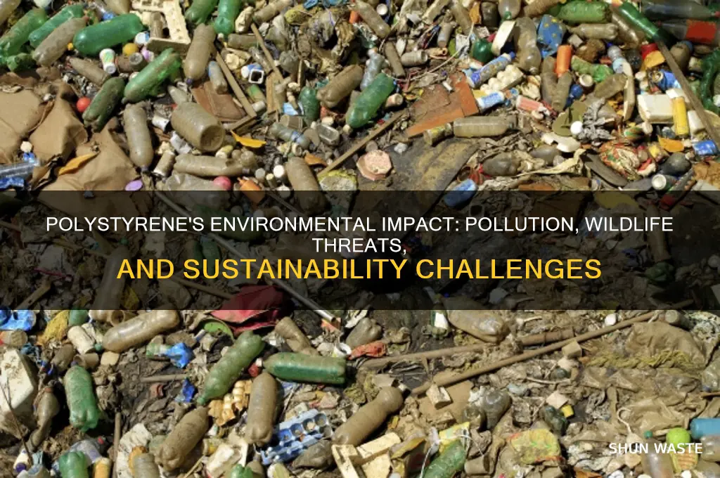 how does polystyrene affect the environment