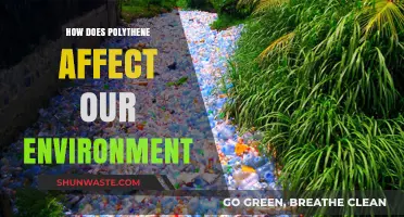 Polythene Pollution: Unveiling Its Devastating Impact on Our Fragile Environment