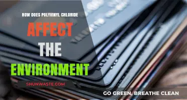 Polyvinyl Chloride's Environmental Impact: Pollution, Persistence, and Ecological Consequences