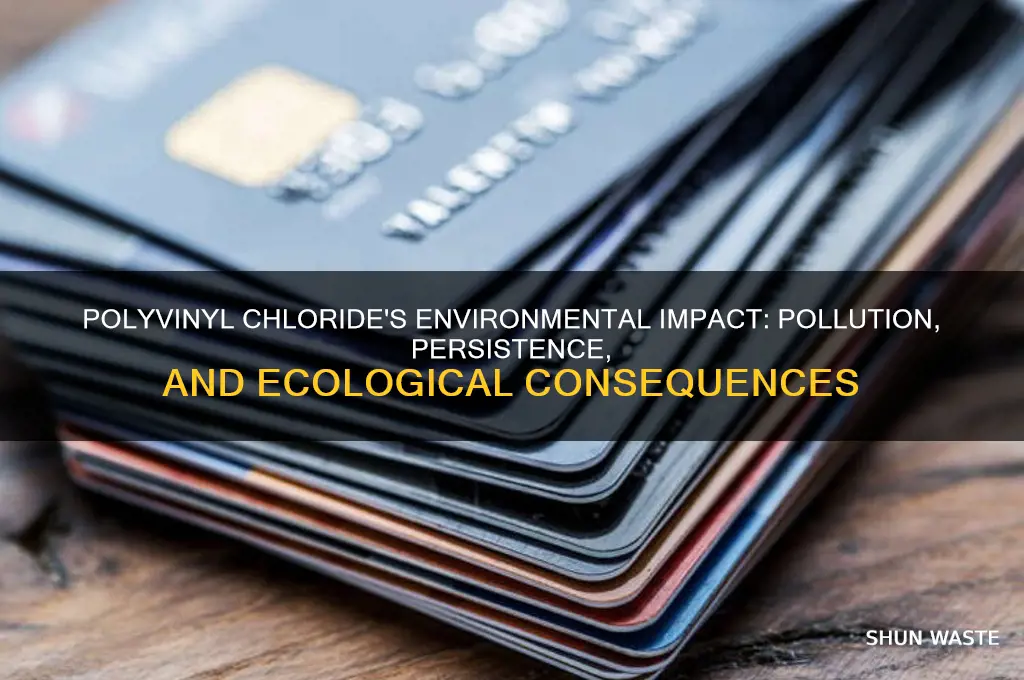 how does polyvinyl chloride affect the environment