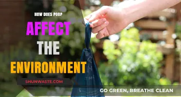 Poop's Environmental Impact: Surprising Ways Waste Affects Our Planet