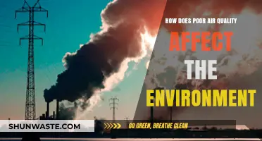 Poor Air Quality's Devastating Impact on Our Environment and Ecosystems