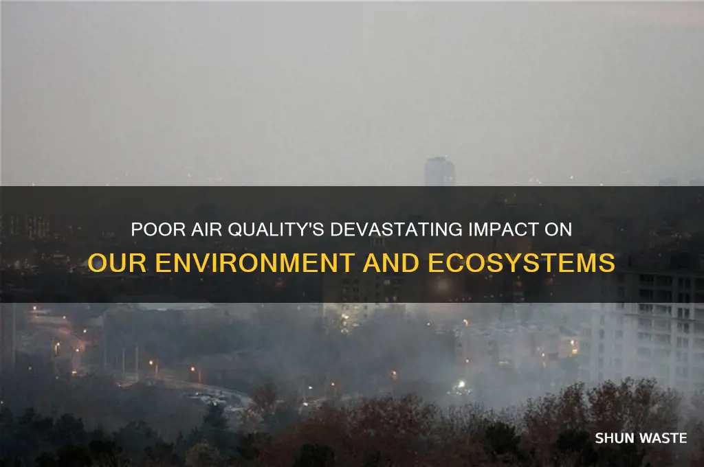 how does poor air quality affect the environment