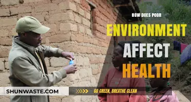 Toxic Surroundings, Sick Bodies: How Poor Environments Impact Our Health