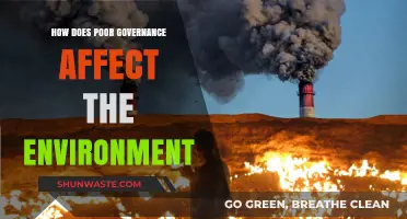 Poor Governance's Devastating Impact on Our Environment and Ecosystems
