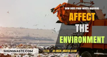 Environmental Consequences of Poor Waste Disposal: A Growing Crisis