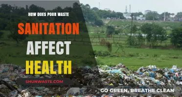 Poor Sanitation's Health Impact: Unseen Dangers of Waste Mismanagement