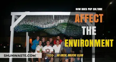 Pop Culture's Environmental Impact: Trends, Waste, and Sustainability Challenges