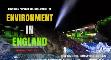 Pop Culture's Environmental Impact: England's Eco-Footprint in the Spotlight