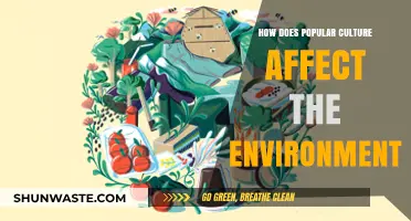 Pop Culture's Eco-Impact: Unveiling Environmental Consequences of Trends
