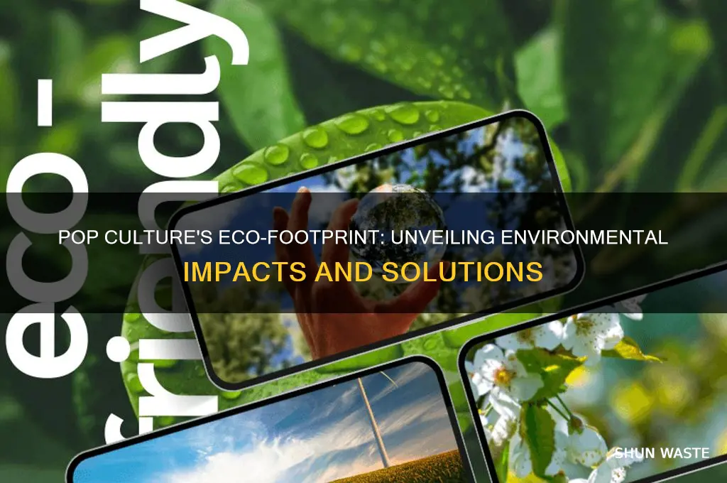 how does popular culture impact the environment