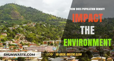 Population Density's Environmental Impact: Challenges and Sustainable Solutions Explored