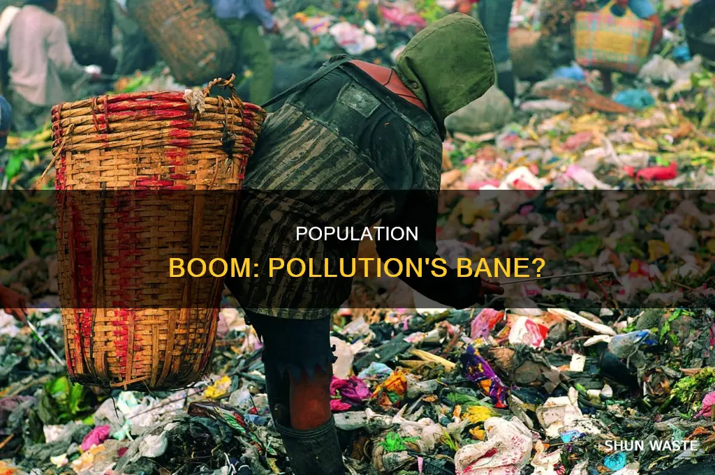 how does population growth affect pollution levels on earth