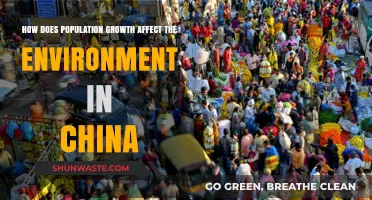 China's Population Boom: Environmental Impacts and Sustainability Challenges