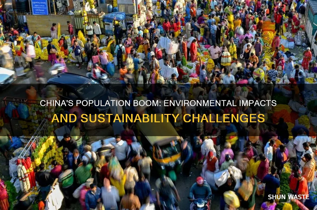 how does population growth affect the environment in china