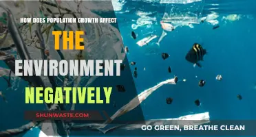 Population Growth's Devastating Impact: Environmental Consequences and Sustainability Challenges