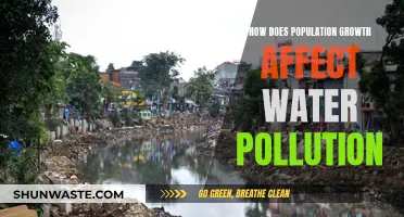 Water Pollution: Population Growth's Impact and Solutions