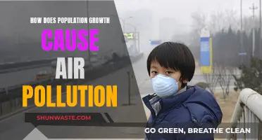 Population Boom: The Hidden Cost of Air Pollution