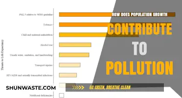 Population Growth: A Major Driver of Pollution