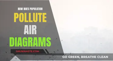 Population Growth and Air Pollution: Visual Insights