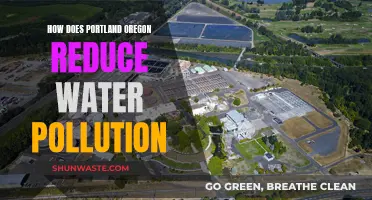 Portland's Water Pollution Solutions: Strategies and Successes