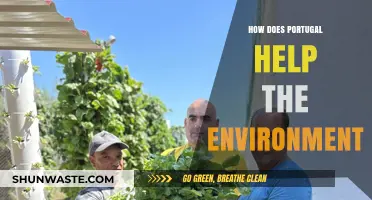Portugal's Green Revolution: Sustainable Practices and Environmental Initiatives