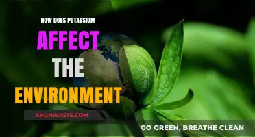 Potassium's Environmental Impact: Benefits, Risks, and Sustainable Practices
