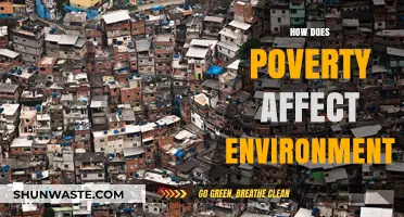 Poverty's Environmental Impact: Exploring the Complex Relationship and Consequences