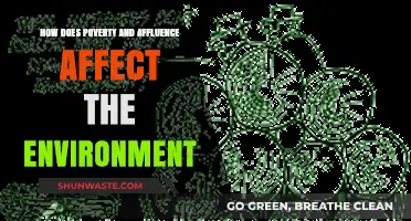 Poverty, Affluence, and the Environment: Exploring the Complex Relationship