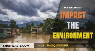 Poverty's Environmental Toll: Exploring the Devastating Impact on Our Planet