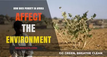 Poverty's Environmental Toll: Africa's Struggle for Sustainability Amidst Hardship