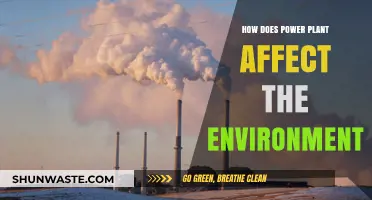 Power Plants' Environmental Impact: Pollution, Wildlife, and Climate Change