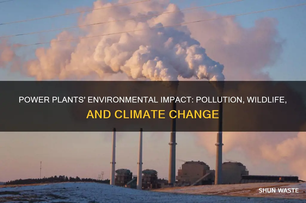 how does power plant affect the environment