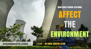 Power Stations' Environmental Impact: Pollution, Wildlife, and Climate Change