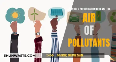 Precipitation's Cleansing Power: Purifying Polluted Air