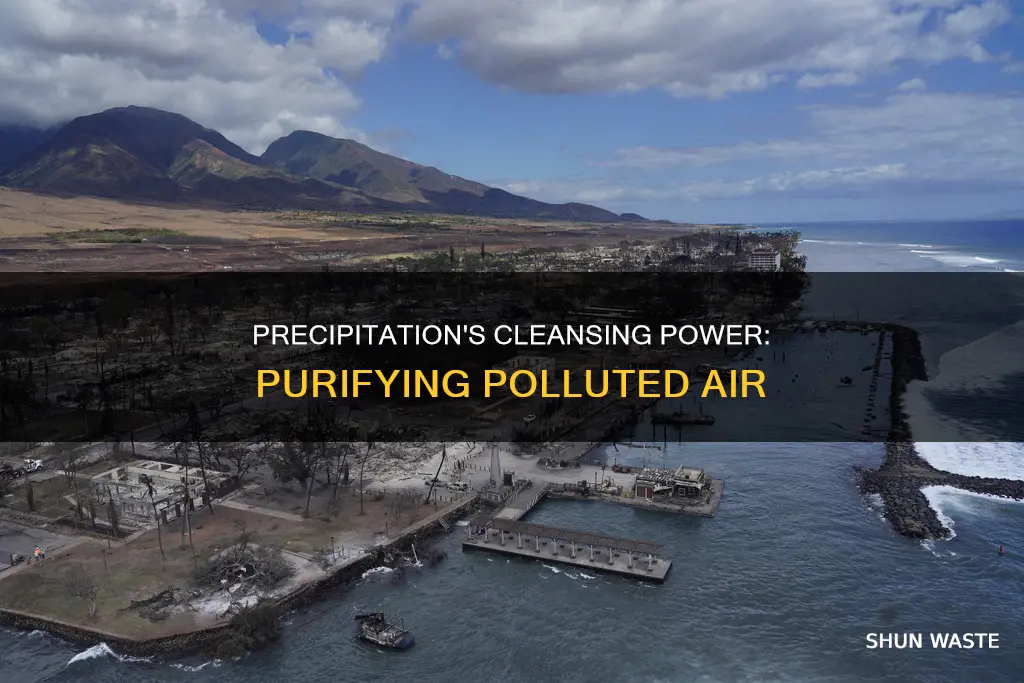 how does precipitation cleanse the air of pollutants