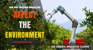 Precision Agriculture's Environmental Impact: Sustainable Farming for a Greener Future