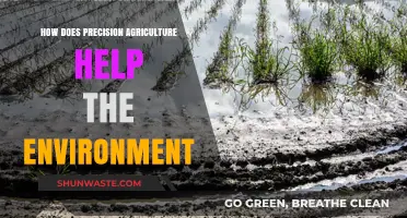 Precision Agriculture: Sustainable Farming Practices for a Greener Environment