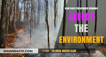Prescribed Burning: Environmental Impacts and Ecosystem Restoration Explained
