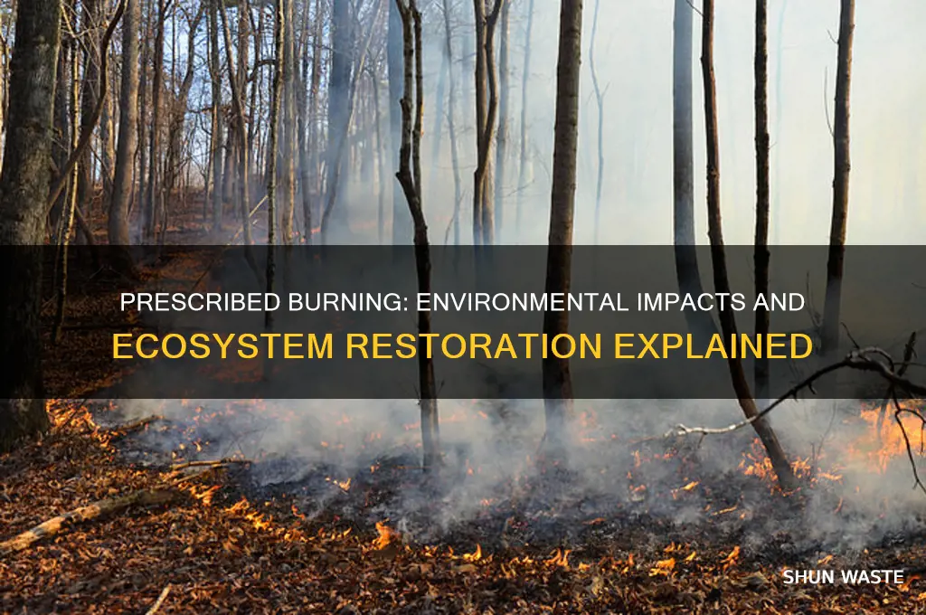 how does prescribed burning affect the environment