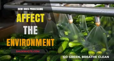 Environmental Impact of Processing: Uncovering Hidden Costs and Sustainable Solutions
