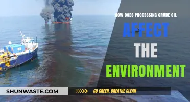 Crude Oil Processing: Environmental Impacts and Sustainable Alternatives Explored