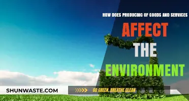 Production's Environmental Impact: Goods, Services, and Our Planet's Future