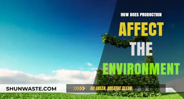 Production's Environmental Impact: Uncovering the Hidden Costs of Manufacturing