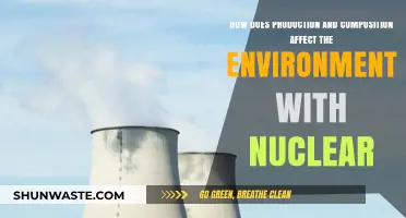 Nuclear Production and Composition: Environmental Impacts and Sustainability Challenges