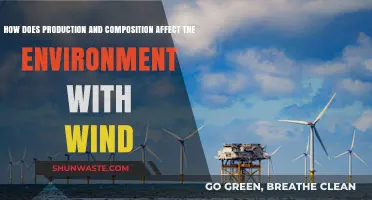 Wind Energy's Environmental Impact: Production and Composition Insights