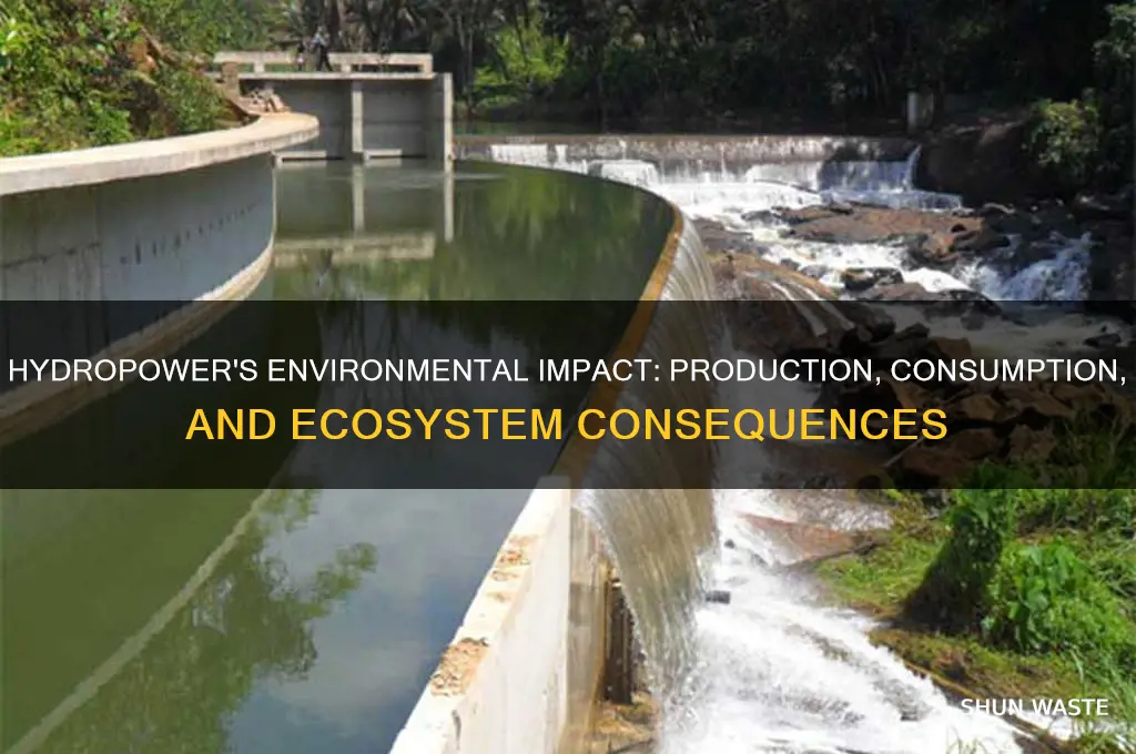 how does production and consumption of hydropower affect the environment