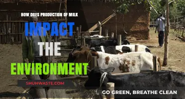 Dairy's Environmental Footprint: Milk Production's Impact on Our Planet